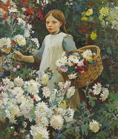 Picking chrysanthemums
