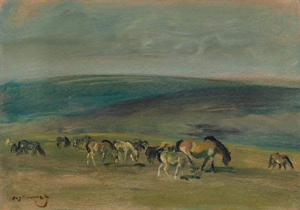 Ponies grazing on Exmoor